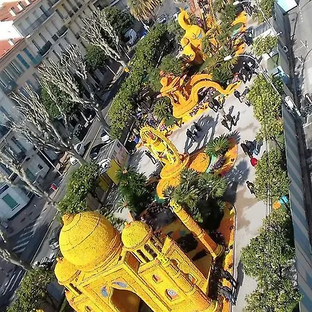 Les Mimosas *