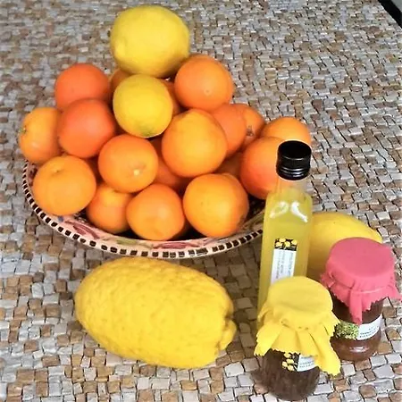 B&B Les Mimosas