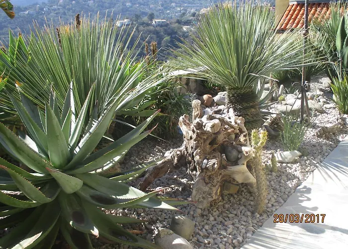 Les Mimosas Bed & Breakfast Menton
