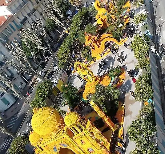 Les Mimosas *