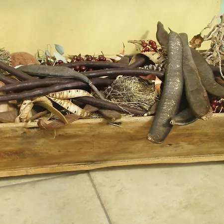 Bed & Breakfast Les Mimosas *